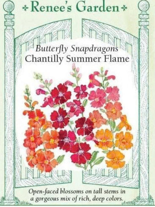 Chantilly Summer Flame Snapdragons