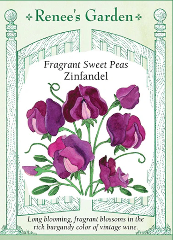 Zinfandel Sweet Peas - Spring Fragrance