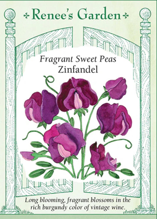 Zinfandel Sweet Peas - Spring Fragrance