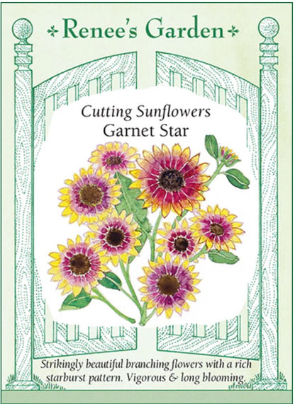 Garnet Star Cutting Sunflower