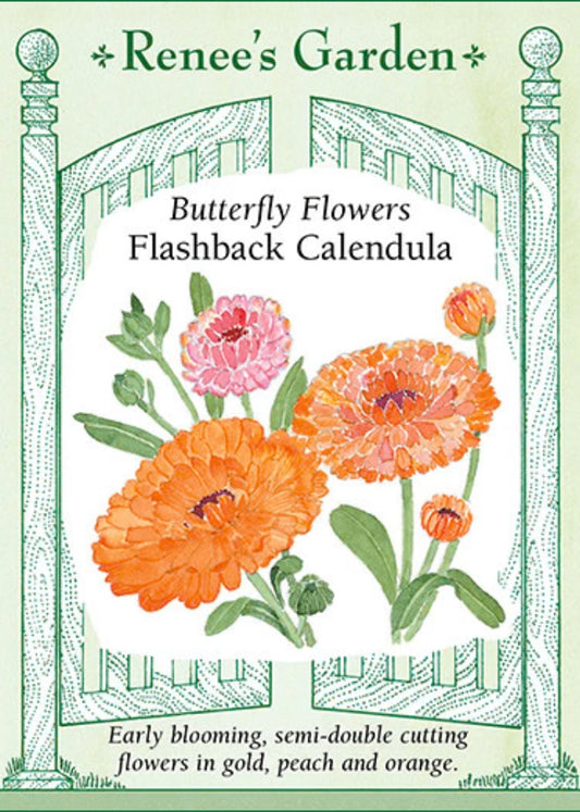 Flashback Calendula - Butterfly Flowers