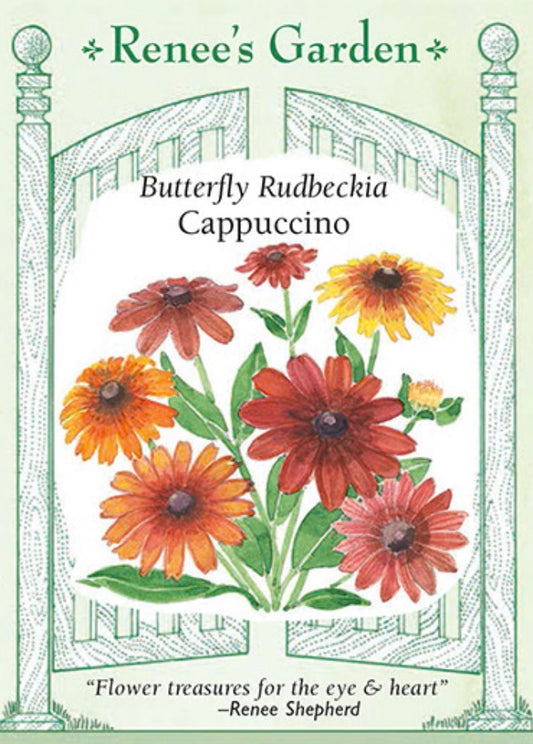 Butterfly Rudbeckia Cappuccino