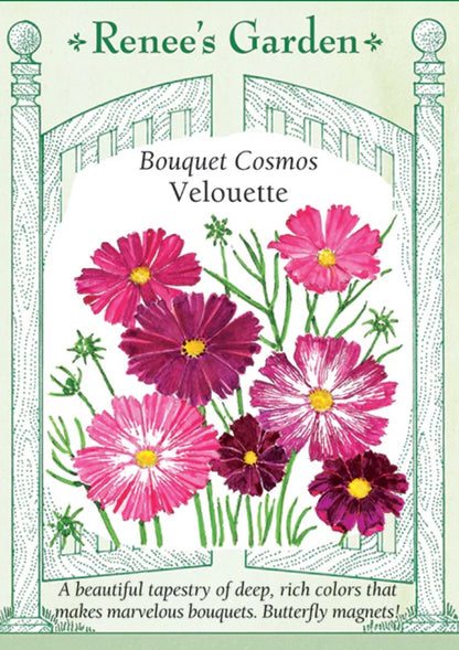 Bouquet Cosmos Velouette