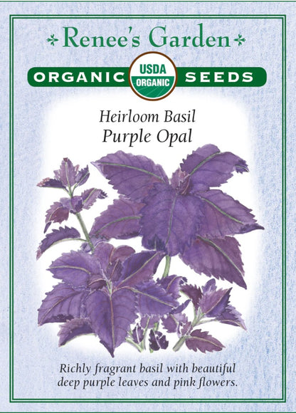 Purple Opal Basil - Heirloom